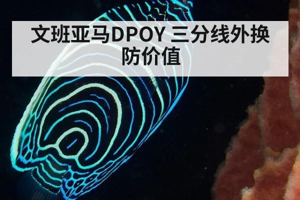 文班亚马DPOY 三分线外换防价值 - jiuyou game